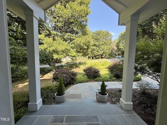301 Cates Farm Rd, Chapel Hill, NC 27516 - photo 4