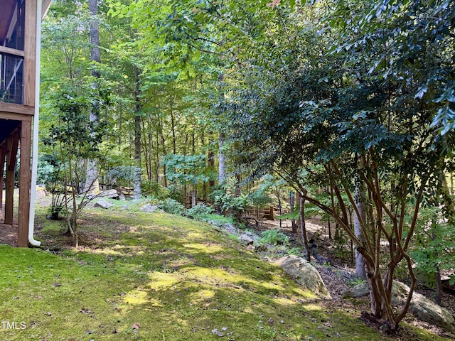301 Cates Farm Rd, Chapel Hill, NC 27516 - photo 55