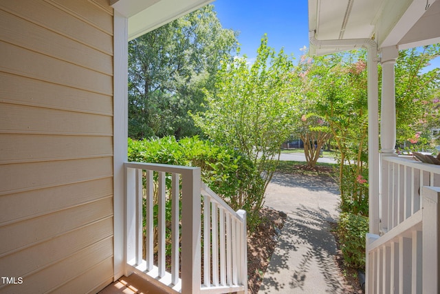 305 Mcgregor Dr Unit B, Chapel Hill, NC 27514 - photo 32