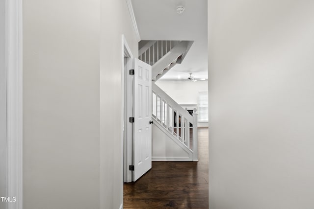 4350 Pine Springs Ct, Raleigh, NC 27613 - photo 6