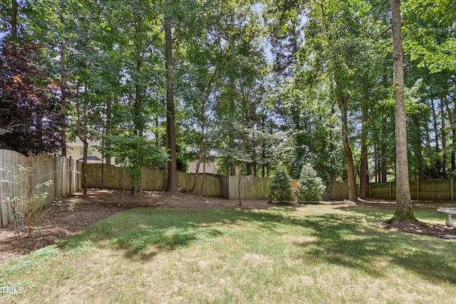 1217 Anora Dr, Apex, NC 27502 - photo 48