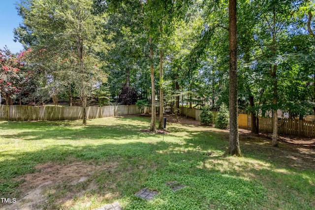 1217 Anora Dr, Apex, NC 27502 - photo 49