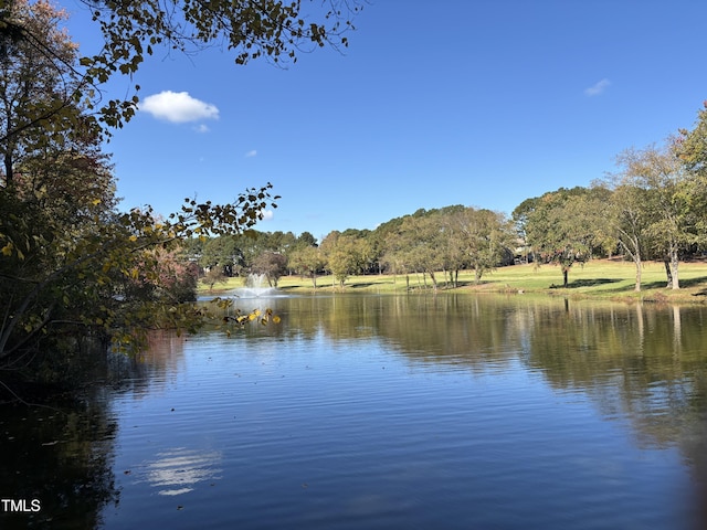 1312 Sky Hill Pl, Wake Forest, NC 27587 - photo 40