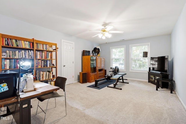 114 Sir Walker Ln, Cary, NC 27519 - photo 45
