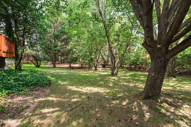 114 Sir Walker Ln, Cary, NC 27519 - photo 64