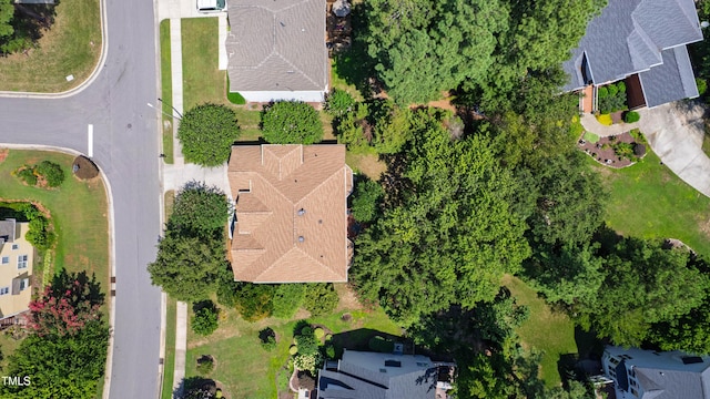 114 Sir Walker Ln, Cary, NC 27519 - photo 69