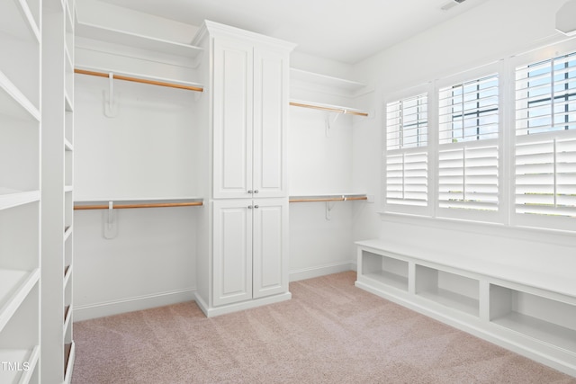 4729 Adler Pass, Raleigh, NC 27612 - photo 30