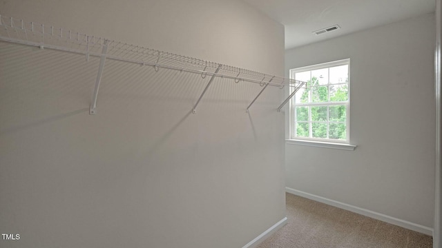 234 Bay Laurel Dr, Sanford, NC 27332 - photo 27