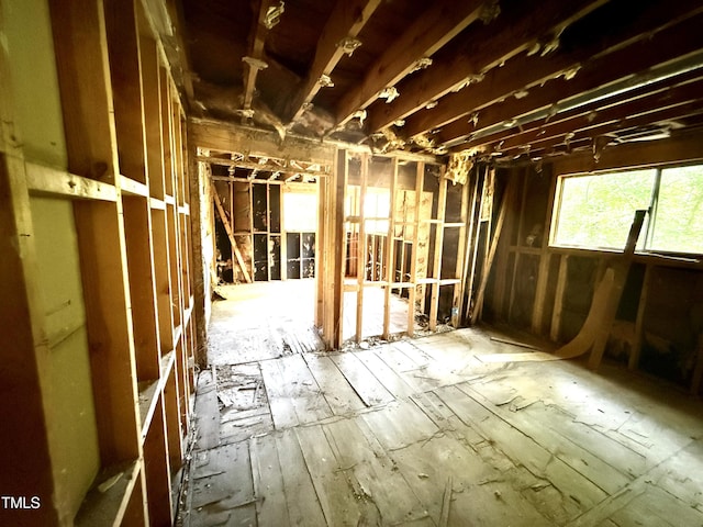 1019 Elmira Ave, Durham, NC 27707 - photo 17