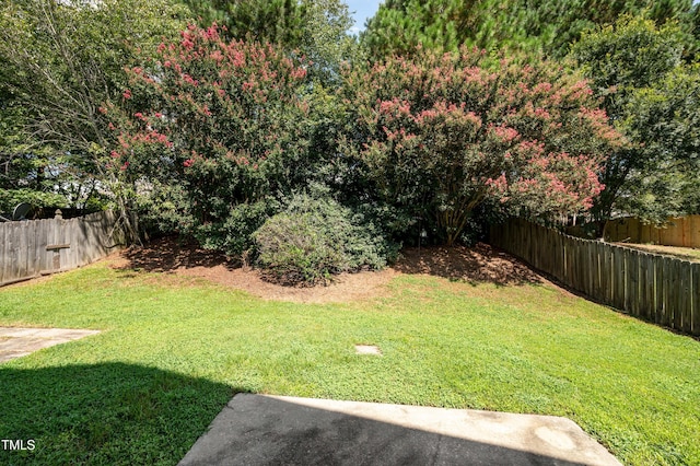 100 Chalcedony St, Raleigh, NC 27603 - photo 25