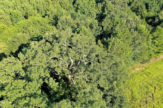 38ACRES Timberlake Rd, Franklinton, NC 27525 - photo 6