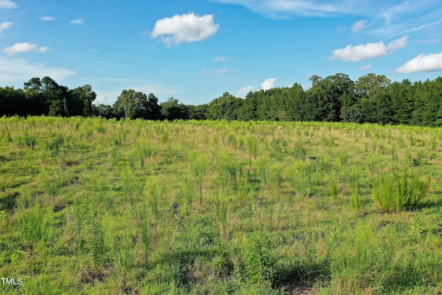 38ACRES Timberlake Rd, Franklinton, NC 27525 - photo 10