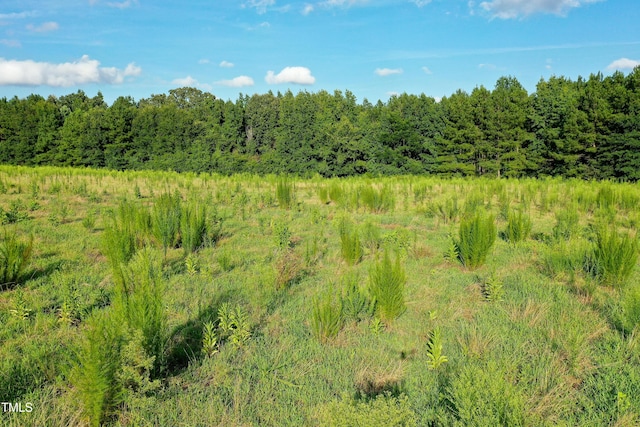 38ACRES Timberlake Rd, Franklinton, NC 27525 - photo 11