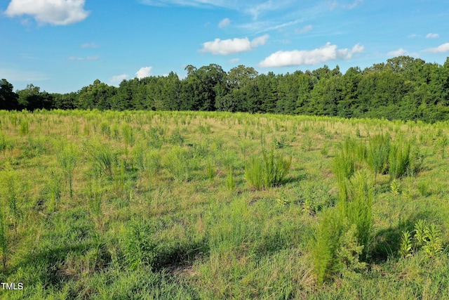 38ACRES Timberlake Rd, Franklinton, NC 27525 - photo 12
