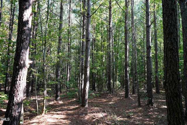 38ACRES Timberlake Rd, Franklinton, NC 27525 - photo 13