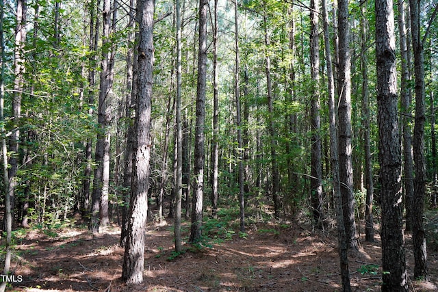 38ACRES Timberlake Rd, Franklinton, NC 27525 - photo 14