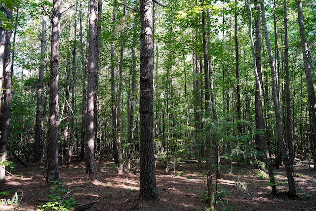 38ACRES Timberlake Rd, Franklinton, NC 27525 - photo 15