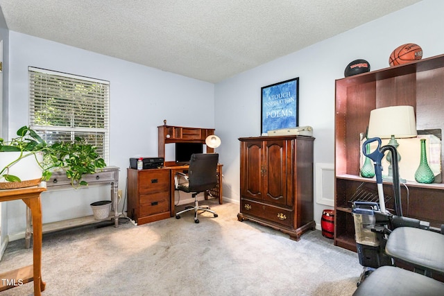 5204 Bentgrass Dr, Raleigh, NC 27610 - photo 24
