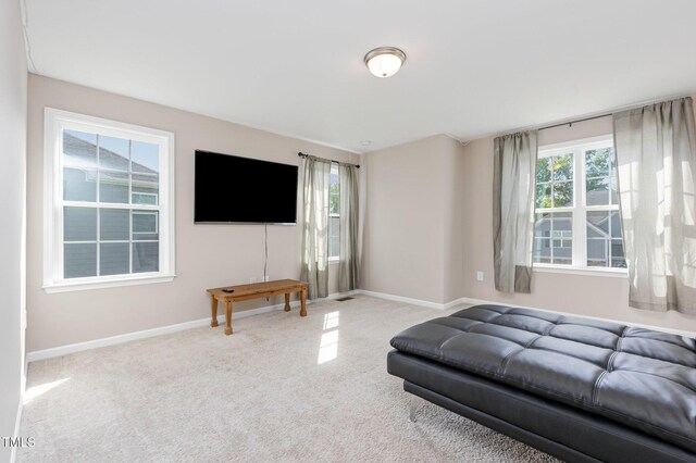 2236 Longmont Dr, Wake Forest, NC 27587 - photo 28