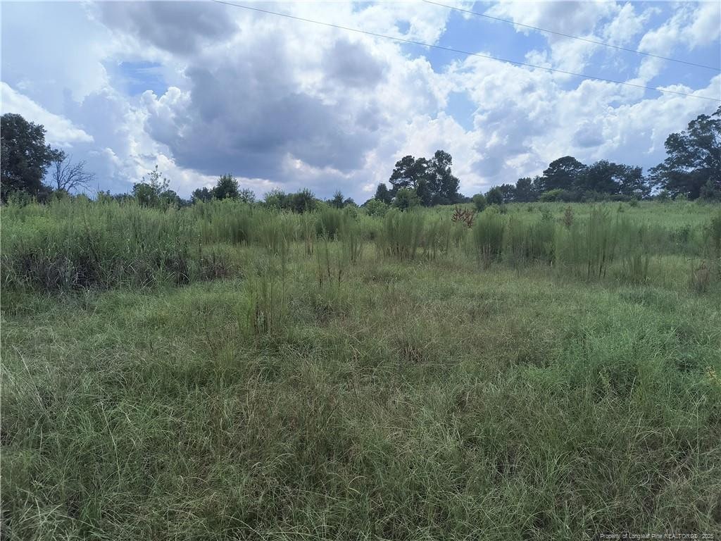 0 Circle T Dr, Lillington, NC 27546 - photo 2