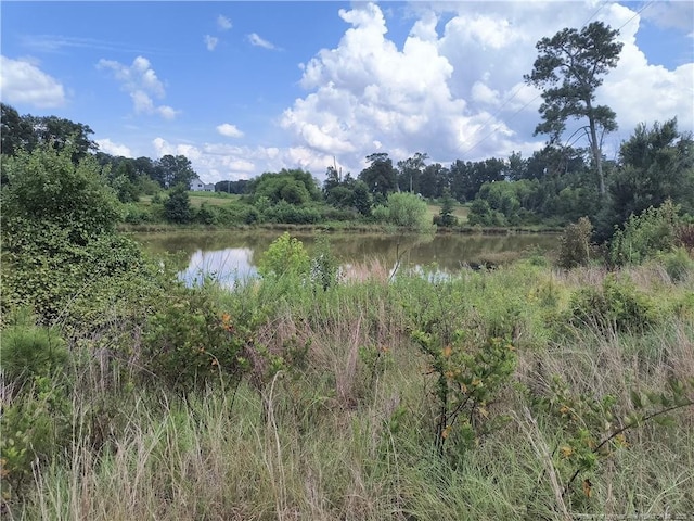 0 Circle T Dr, Lillington, NC 27546 - photo 3