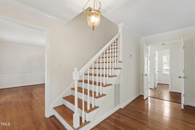 3005 Glen Burnie Dr, Raleigh, NC 27607 - photo 7