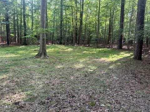 2400 Wheelwright Cmn, Chapel Hill, NC 27516 - photo 2