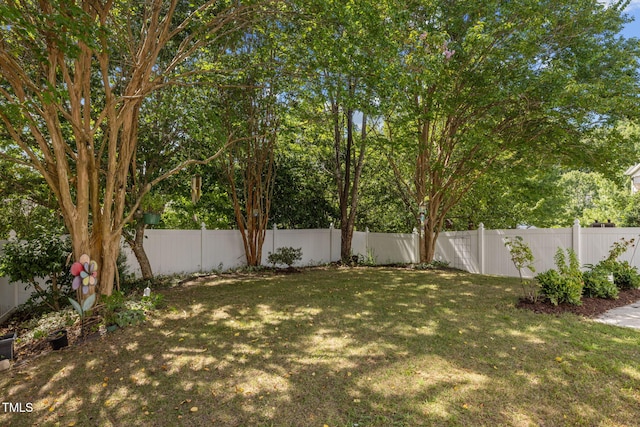 706 Delta Downs Dr, Cary, NC 27519 - photo 3