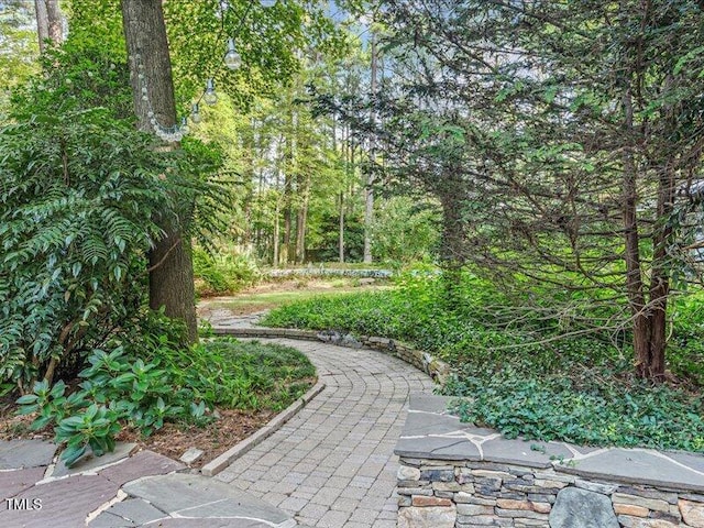 7733 Cart Track Trl, Raleigh, NC 27615 - photo 7