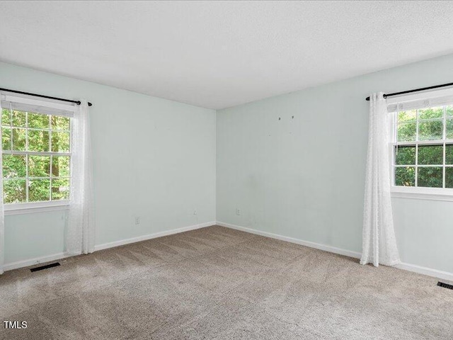 7733 Cart Track Trl, Raleigh, NC 27615 - photo 19