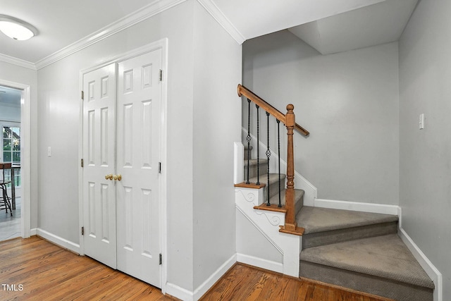 802 Winter Hill Dr, Apex, NC 27502 - photo 8