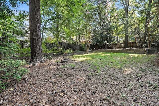 802 Winter Hill Dr, Apex, NC 27502 - photo 31