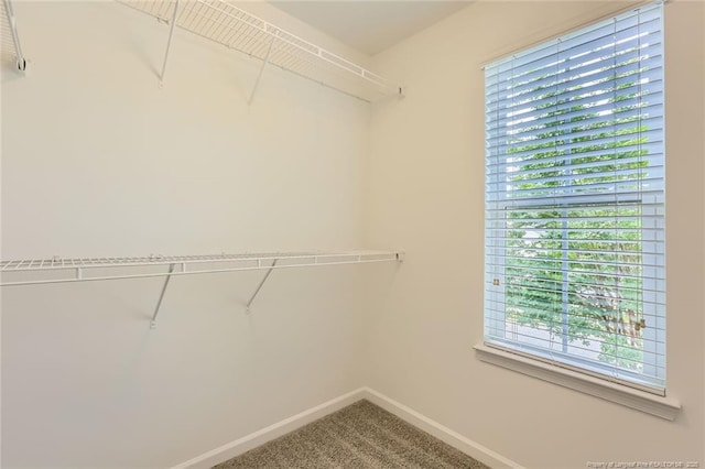 408 Panorama View Loop, Cary, NC 27519 - photo 18