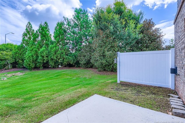 408 Panorama View Loop, Cary, NC 27519 - photo 27