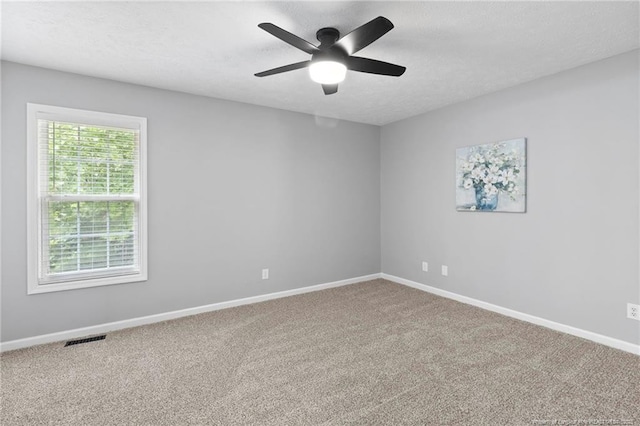 8801 Grouse Run Ln, Fayetteville, NC 28314 - photo 17