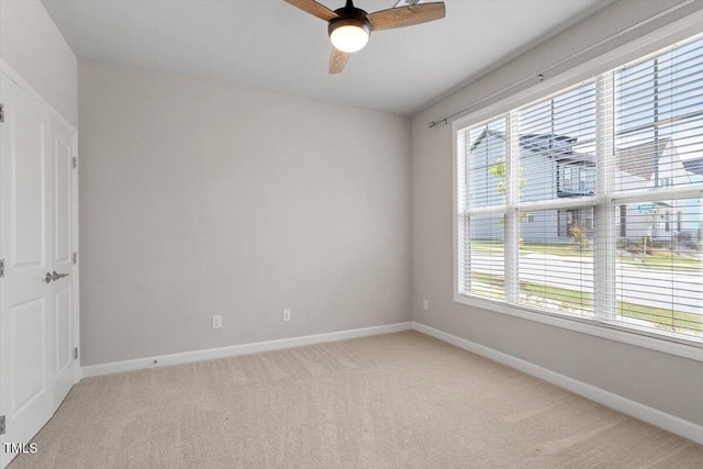 1641 Glazebrook Dr, Wake Forest, NC 27587 - photo 19