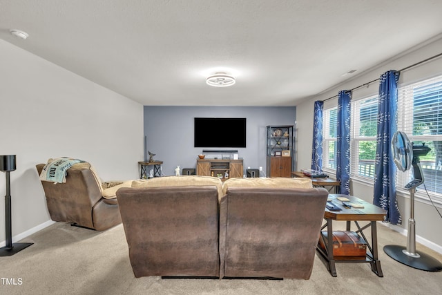 306 Meadow Hills Dr, Four Oaks, NC 27524 - photo 15