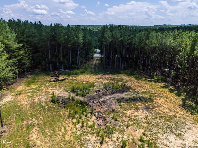 247 Larkington Dr, Siler City, NC 27344 - photo 3