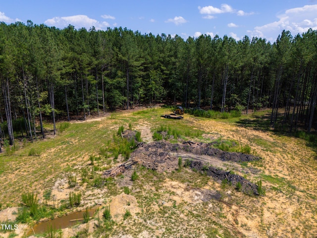 247 Larkington Dr, Siler City, NC 27344 - photo 4