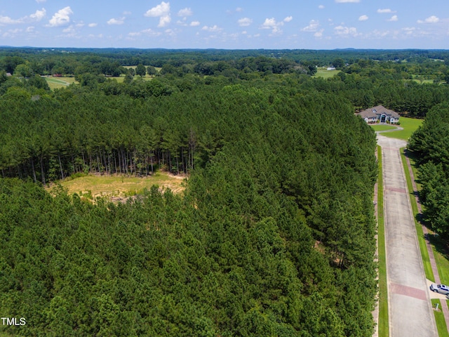 247 Larkington Dr, Siler City, NC 27344 - photo 9