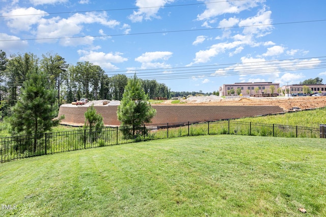 60 Brodie Cedar Way, Clayton, NC 27527 - photo 30