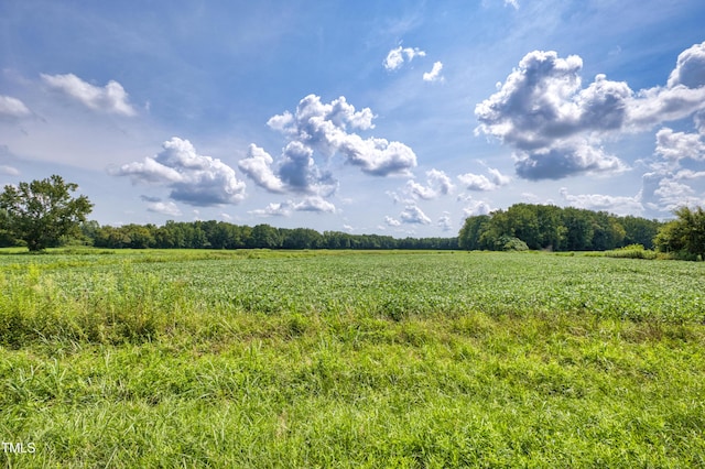 00 N Browntown Rd, Battleboro, NC 27809 - photo 16
