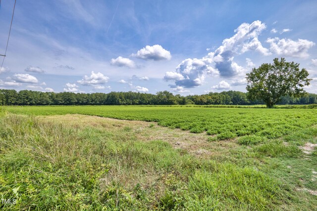 00 N Browntown Rd, Battleboro, NC 27809 - photo 17