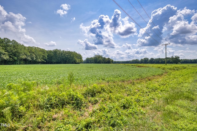 00 N Browntown Rd, Battleboro, NC 27809 - photo 18