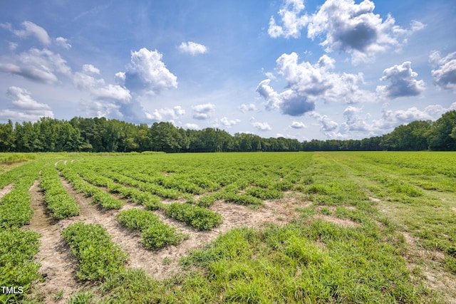 00 N Browntown Rd, Battleboro, NC 27809 - photo 19