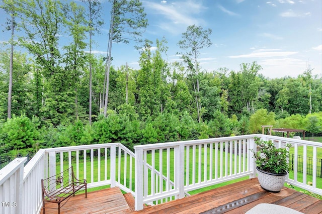 1149 Lowland St, Apex, NC 27523 - photo 16