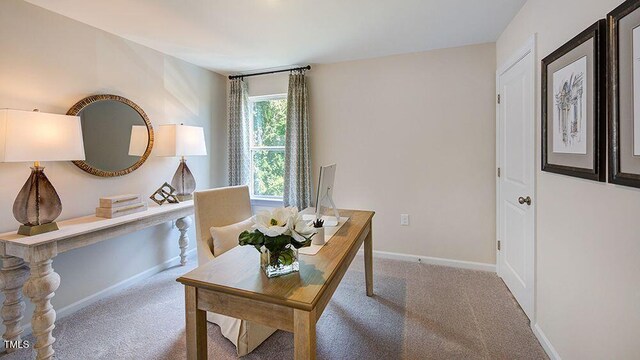 504 Soar Ln, Wendell, NC 27591 - photo 14