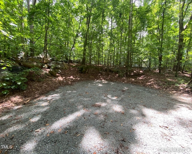 1705 Smith Level Rd, Chapel Hill, NC 27516 - photo 11