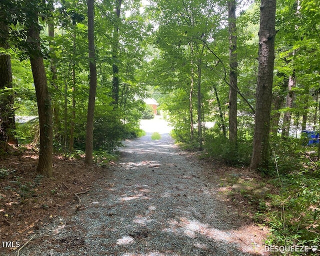 1705 Smith Level Rd, Chapel Hill, NC 27516 - photo 12