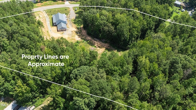 468 Loftis Loop Rd, Roxboro, NC 27574 - photo 35